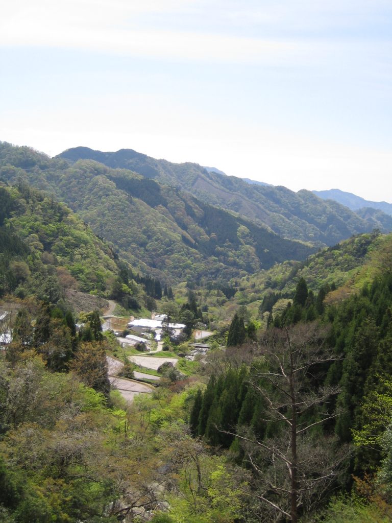 Toroku